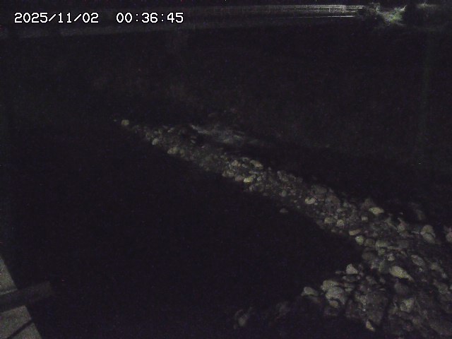 取得できませんでした