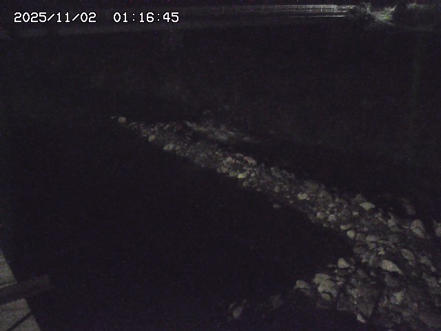 取得できませんでした