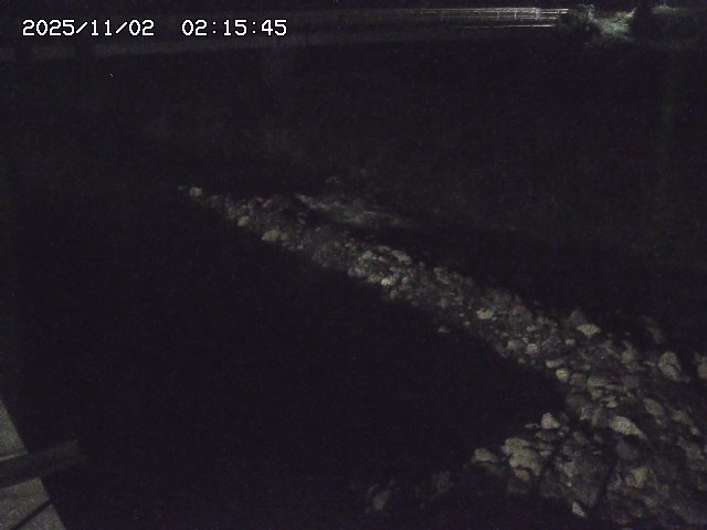 取得できませんでした