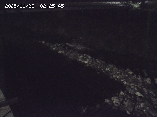 取得できませんでした