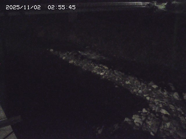 取得できませんでした