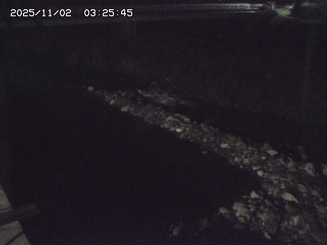 取得できませんでした