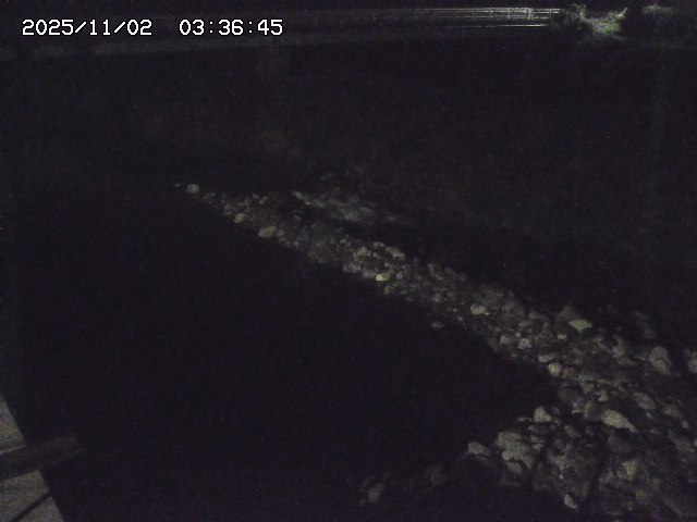 取得できませんでした