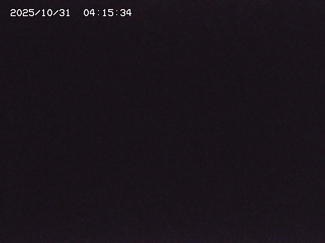 取得できませんでした