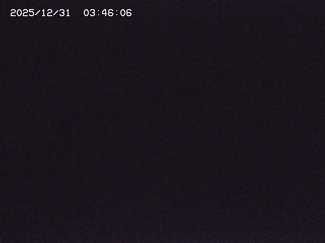 取得できませんでした