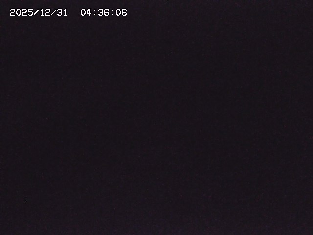 取得できませんでした