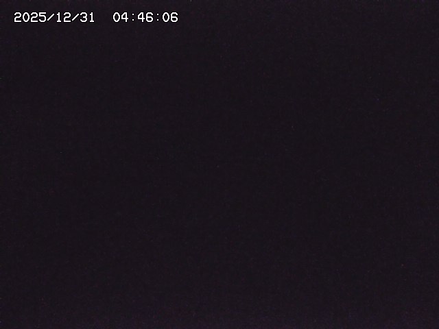 取得できませんでした