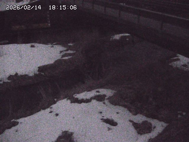 取得できませんでした