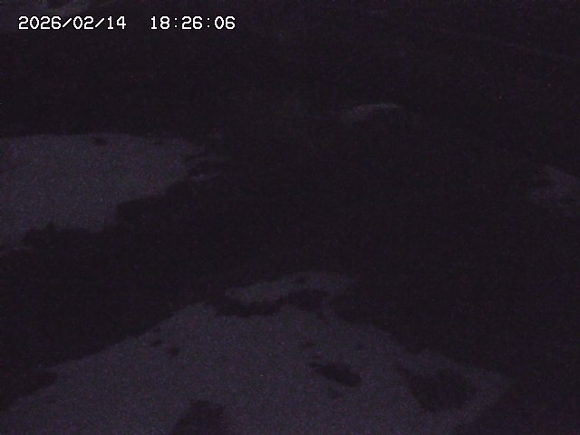 取得できませんでした