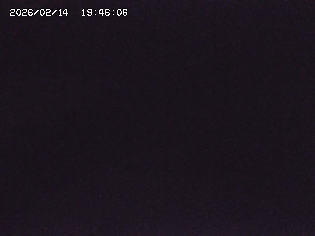 取得できませんでした