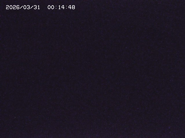 取得できませんでした