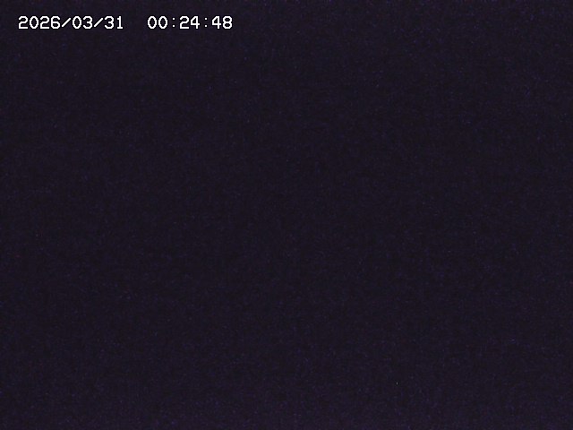 取得できませんでした