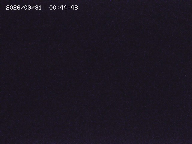 取得できませんでした