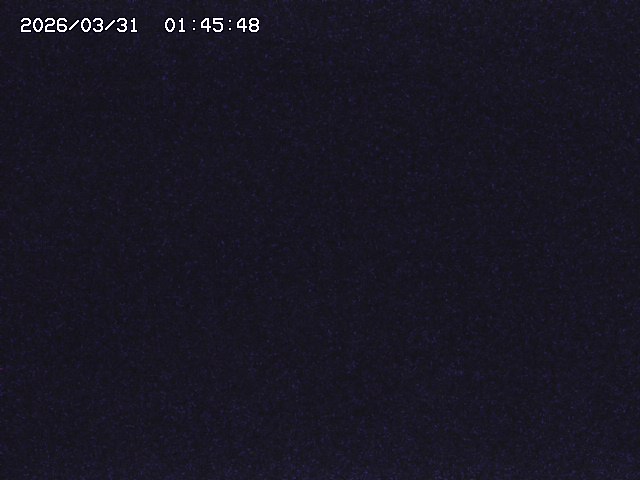 取得できませんでした