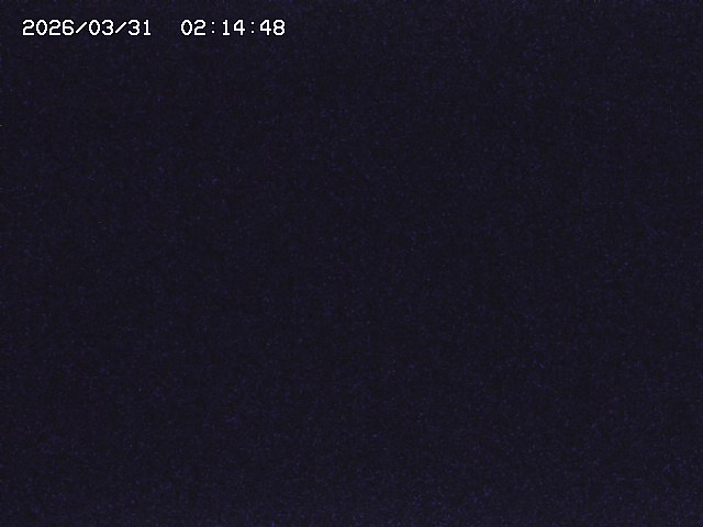 取得できませんでした