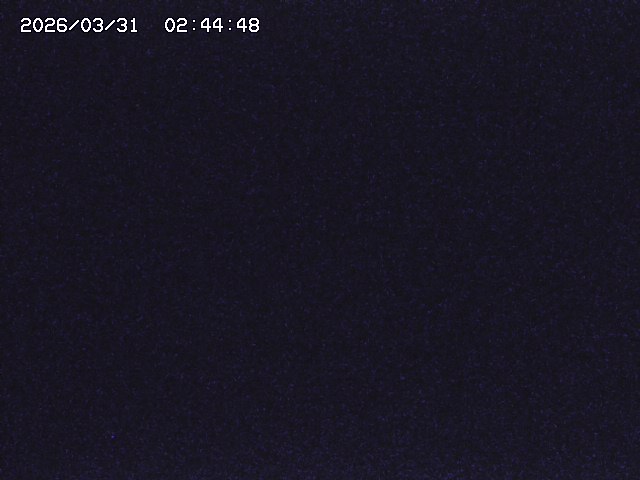 取得できませんでした