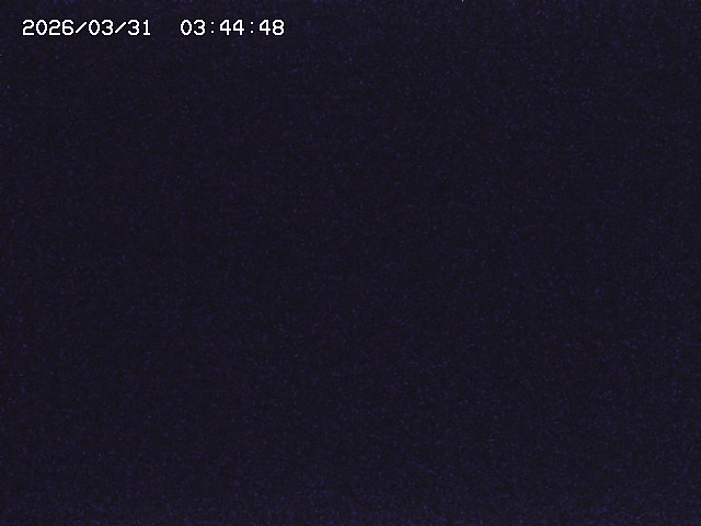 取得できませんでした