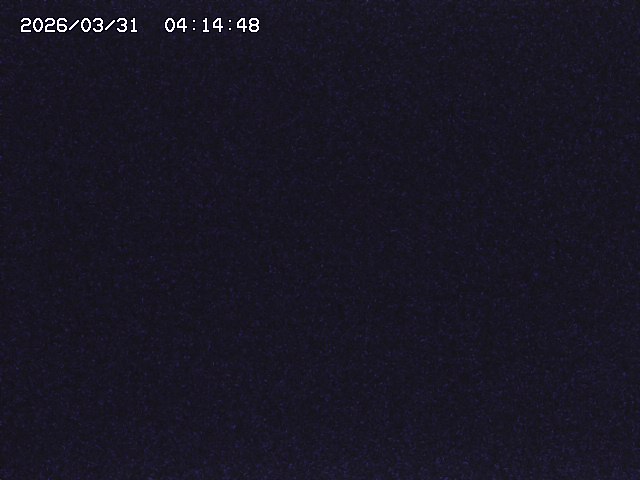 取得できませんでした