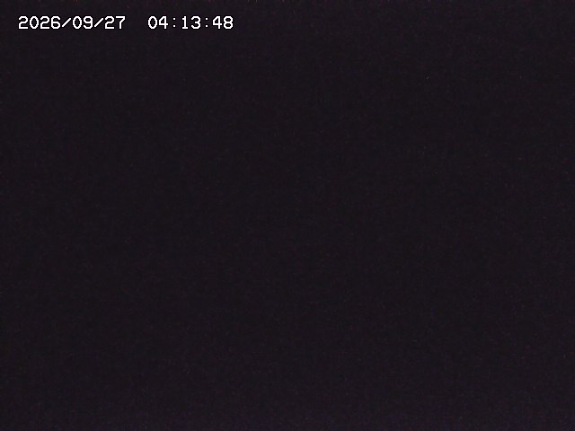 取得できませんでした