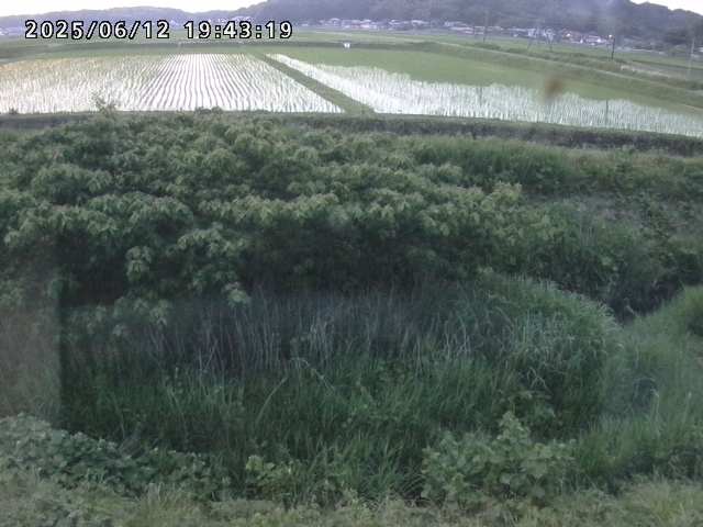 取得できませんでした