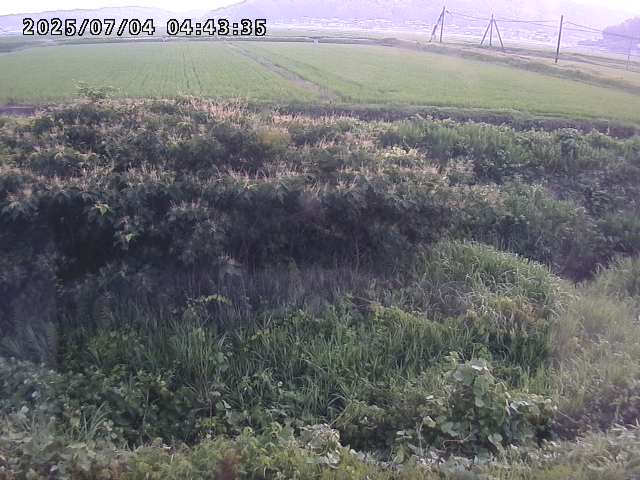 取得できませんでした