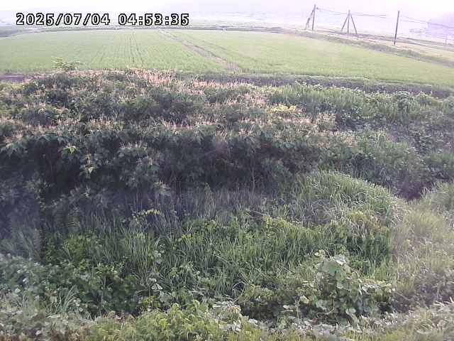 取得できませんでした