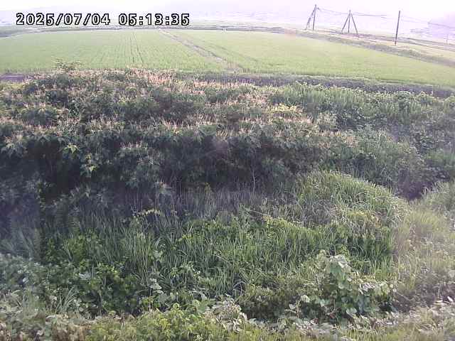 取得できませんでした