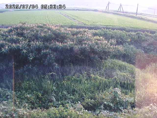 取得できませんでした