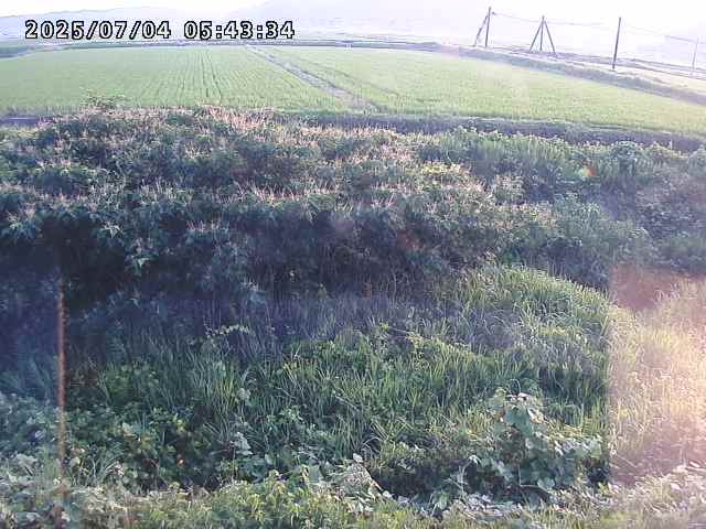 取得できませんでした