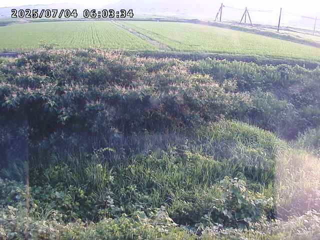 取得できませんでした