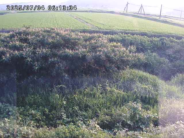 取得できませんでした