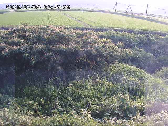 取得できませんでした