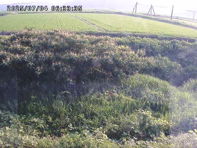 取得できませんでした