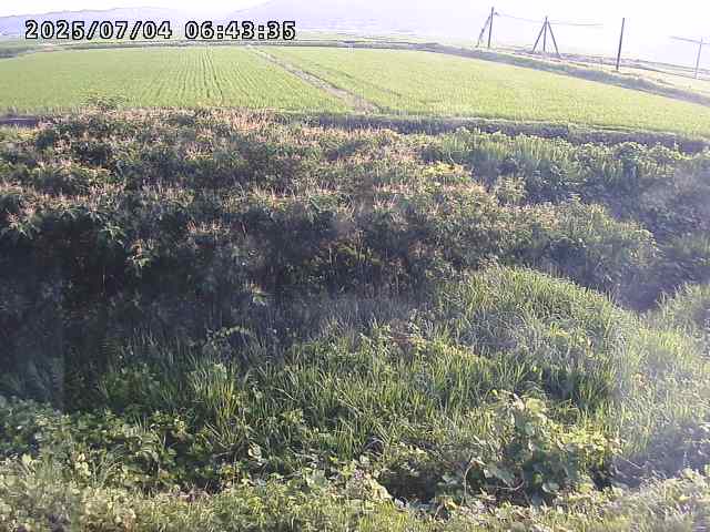 取得できませんでした