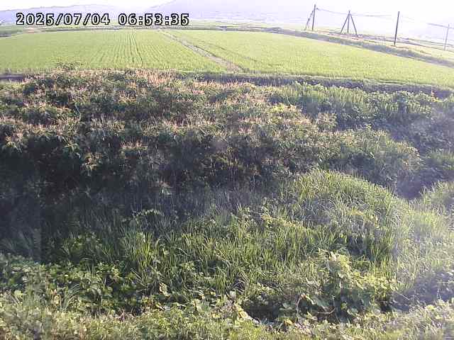 取得できませんでした