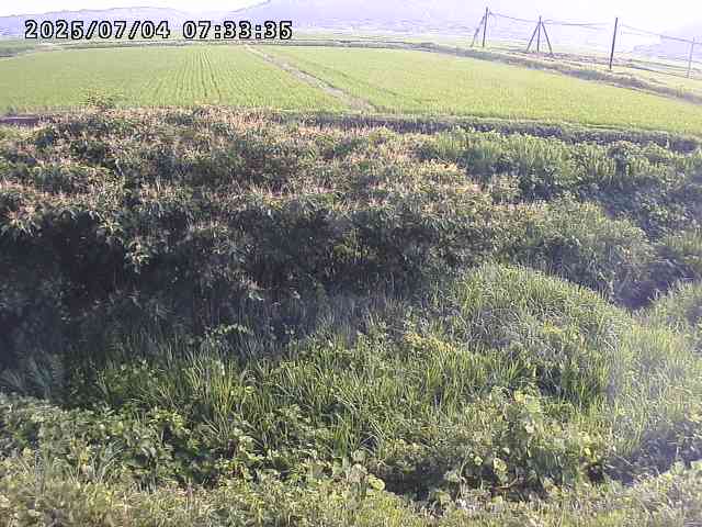 取得できませんでした