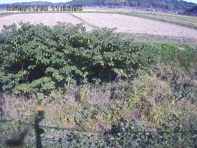 取得できませんでした