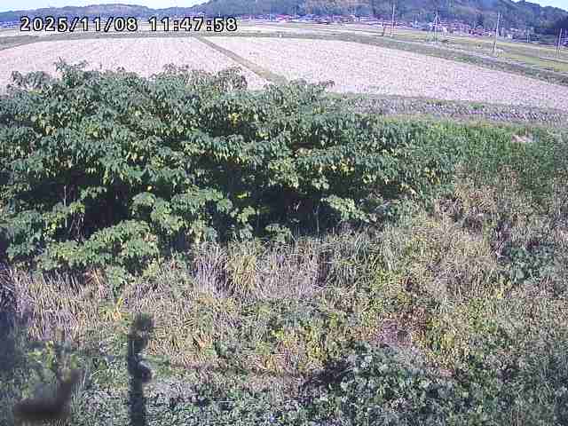 取得できませんでした