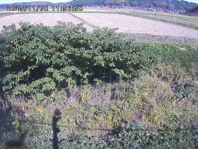 取得できませんでした