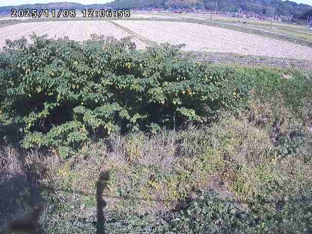 取得できませんでした