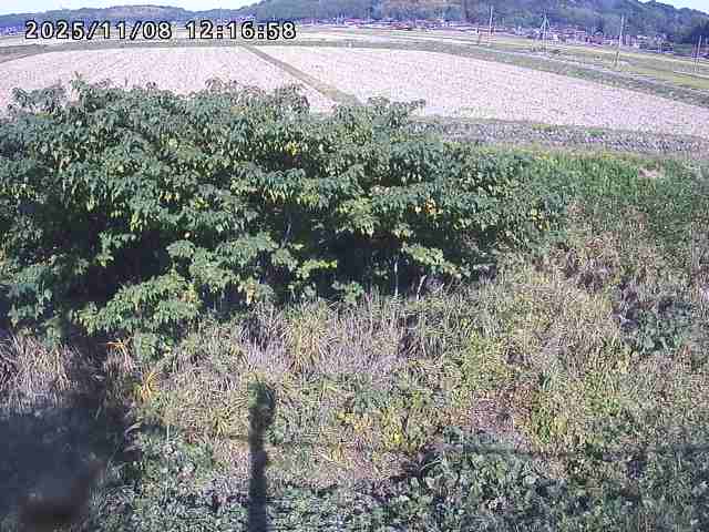 取得できませんでした