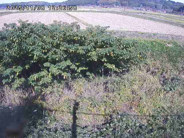 取得できませんでした