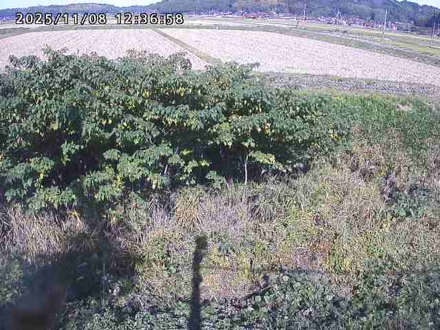 取得できませんでした