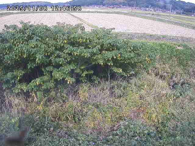 取得できませんでした