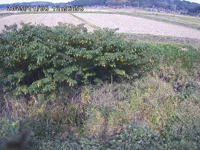 取得できませんでした