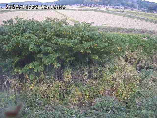 取得できませんでした