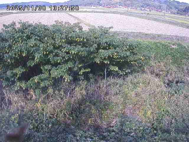 取得できませんでした