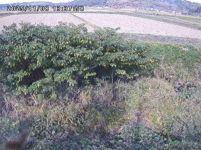 取得できませんでした