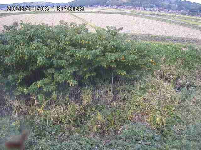 取得できませんでした