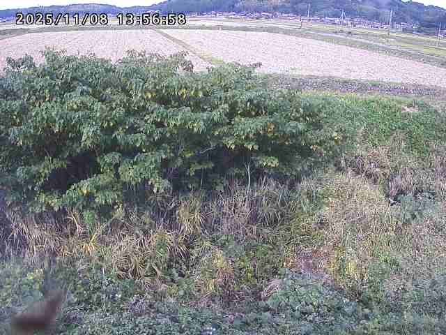 取得できませんでした